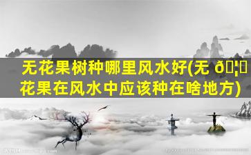 无花果树种哪里风水好(无 🦁 花果在风水中应该种在啥地方)